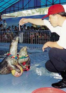 山海关海洋水族馆