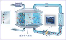 这意味着它可以检测和删除大多数类型的病毒和其他恶意软件