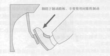 t0162af4d10d6010ec7.jpg