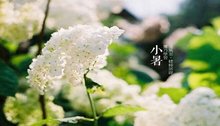 小暑