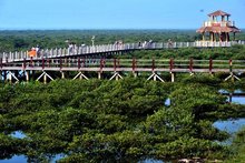 北海市城市风景 北海市城市风景