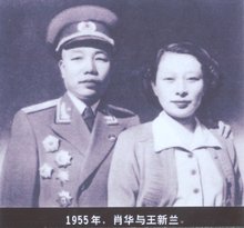 肖华与王新兰