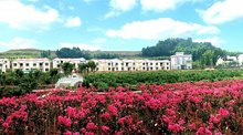 川剧 川剧