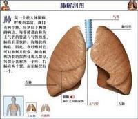 间质性肺炎 360百科