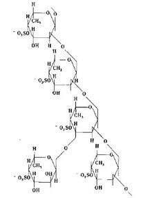 典型分子结构