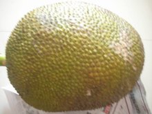 红肉菠萝蜜