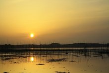 黄盖湖 黄盖湖