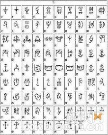 及字的演变 t01c0ea946dcca1a6d0.jpg