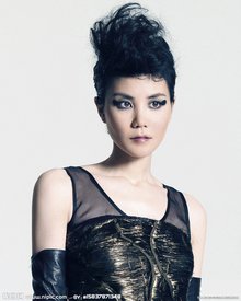 2012王菲郑州演唱会