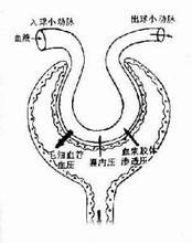 t01d41aad751de4ab60.jpg