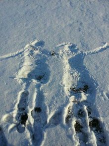 辽宁大学深蓝心灵俱乐部