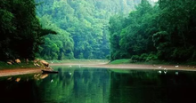 象鼻河 象鼻河