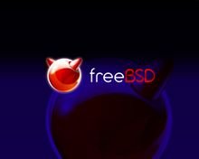 Freebsd как установить права на файл