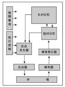 t01f31b55a70c51dd26.jpg