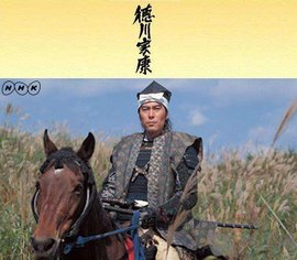 德川家康 - 1983年日本NHK出品大河剧  免费编辑   修改义项名