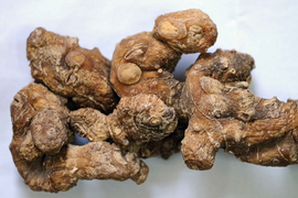滇黄精_360百科
