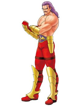 沃尔夫冈克劳萨冯施特罗海姆