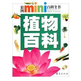 植物文化传播：从种子到故事的旅程