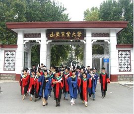 现代农业技术推广助力乡村振兴