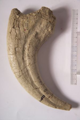 大水沟吉兰泰龙