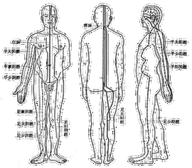 经络学 360百科