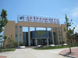 人才活力:威海文登区就业市场动态洞察