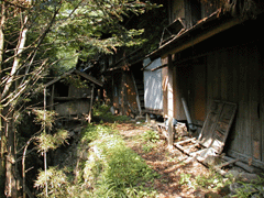 羽生蛇村 360百科