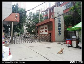 阳朔外语实验中学