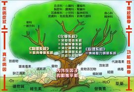 功能医学检测_360百科