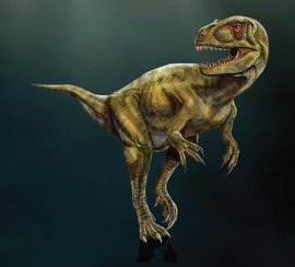 费尔干纳龙 (恐龙)