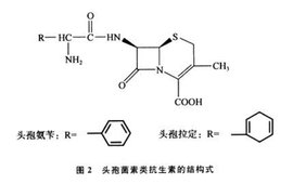 头孢菌素类抗生素_360百科