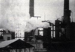 1948年美国多诺拉烟雾事件