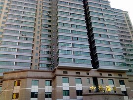 中景新天贸易：见证行业发展的步伐