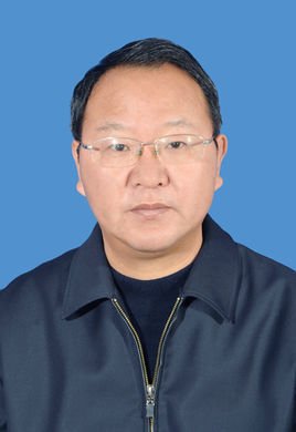 王连贵(安徽省合肥市庐江县委书记)_360百科