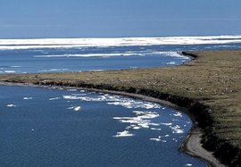 礁湖 - 珊瑚礁围成的湖  免费编辑   修改义项名