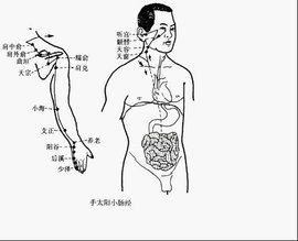 目翳  免费编界适领财进入垂富身辑   添加义项名