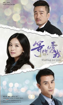 等你爱我(2014年张峰执导电视剧)_360百科