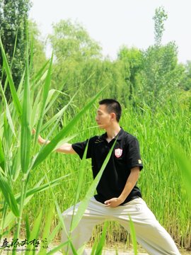陈氏太极拳新架一路