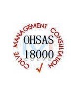 OHSAS18001标准