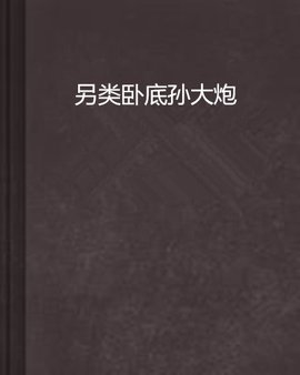 另类卧底孙大炮