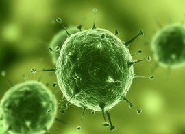 生物因子  免费编辑   添加义项名