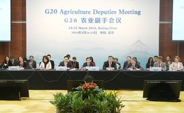 2016年二十国集团峰会