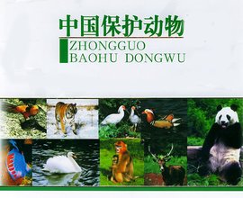 中国国家重点保护野生动物名录