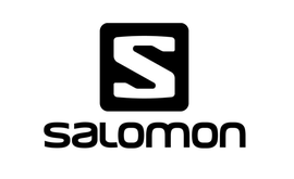salomon vario gtx 2