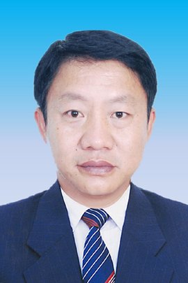 陈鹰保山市龙陵县委副书记统战部部长