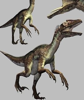 澳洲盗龙(恐龙)