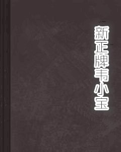 新正牌韦小宝