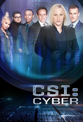 网络犯罪调查第一季 / CSI: Cyber Season 1海报