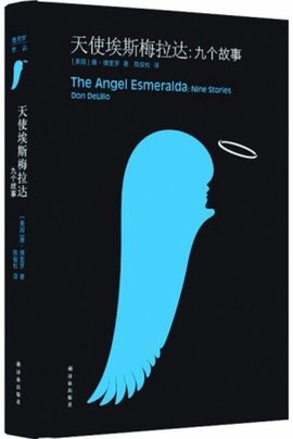 天使埃斯梅拉达:九个故事