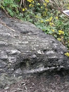 鷺梁津水産市場
